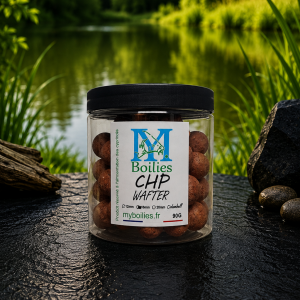 CHP